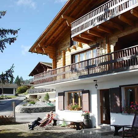 Chalet Wildhorn בקתה אנזיר